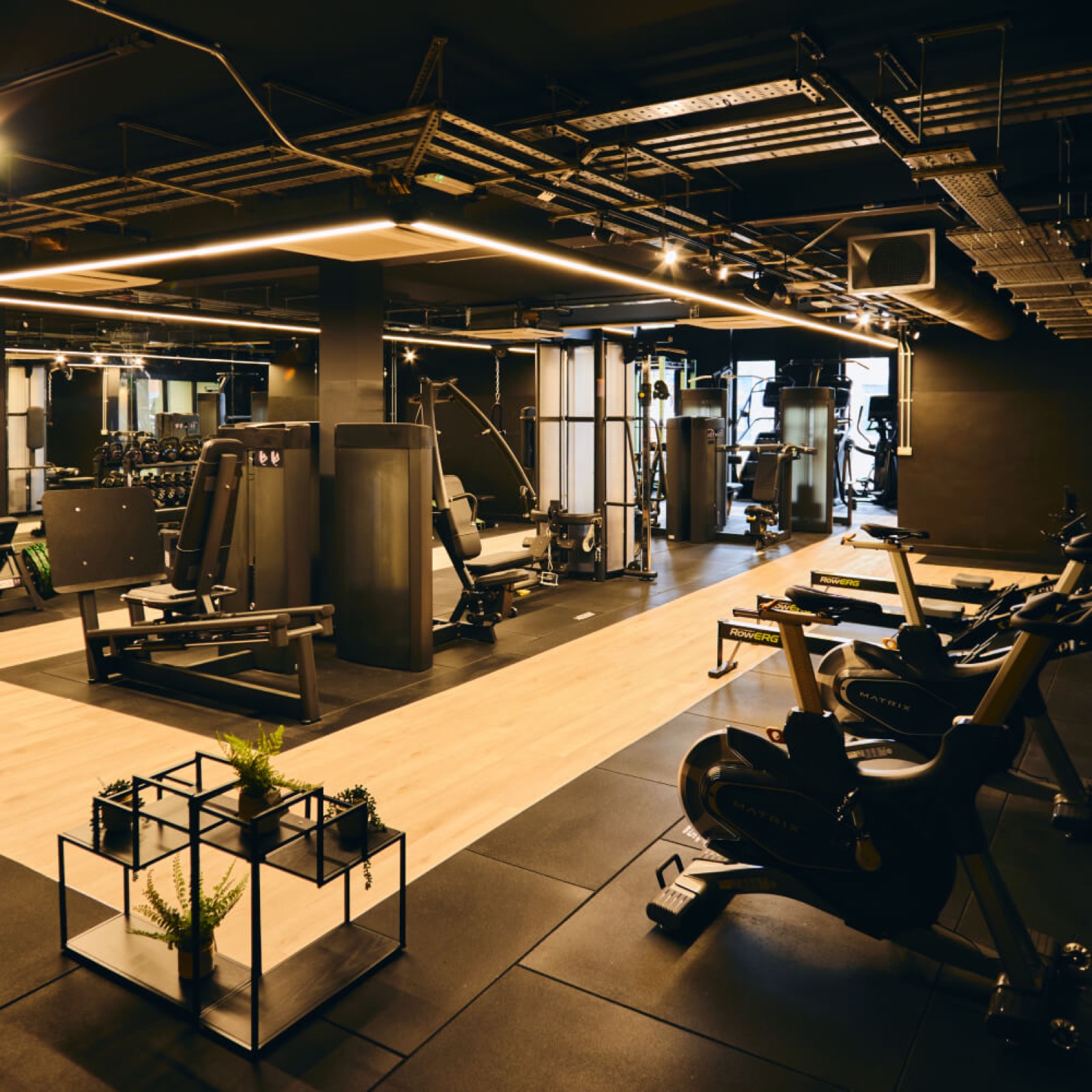 The members-only gym floor